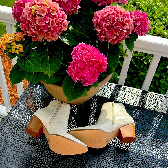 Lulus NWOT cream western booties. - Picture 3 of 3